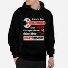 Kfz Mechatroniker Reparieren Nicht Umsonst Hoodie