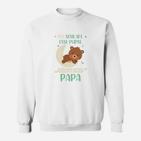 Lustiges Herren Sweatshirt Ich schlafe, esse, pups - Premium Papa Sweatshirt