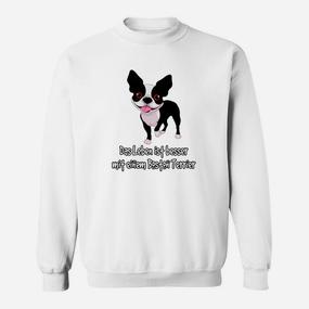 Lustiges Boston Terrier Sweatshirt – Leben Besser mit Hund - Seseable De