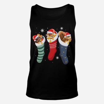 Squirrel Socks Funny Cute Pet Christmas Xmas Sweatshirt Unisex Tank Top | Crazezy CA