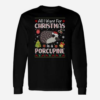 All I Want Is A Porcupine For Christmas Ugly Xmas Pajamas Sweatshirt Unisex Long Sleeve | Crazezy UK