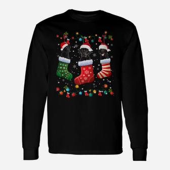 Black Lab Labrador Christmas Socks Funny Xmas Pajama Dog Unisex Long Sleeve | Crazezy
