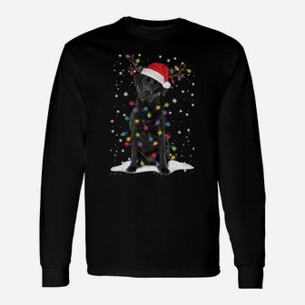 Black Lab Labrador Christmas Tree Light Pajama Dog Xmas Gift Sweatshirt Unisex Long Sleeve | Crazezy DE