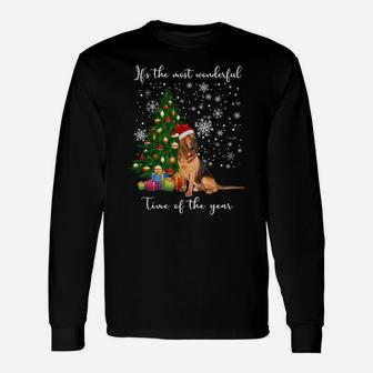 Bloodhound Dog It's The Most Wonderful Time Of The Year Sweatshirt Unisex Long Sleeve | Crazezy