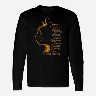Cats Are Not Just Cats They Are Sanity They Are My Happiness You Are My Teacher You Are My Therapist And My Best Friend Long Sleeve T-Shirt - Monsterry DE