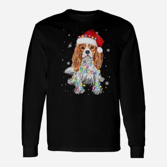 Cavalier King Charles Spaniel Dog Funny Christmas Dog Lovers Sweatshirt Unisex Long Sleeve | Crazezy