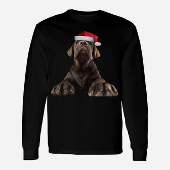 Chocolate Lab Puppy Dog Santa Hat Image Funny Christmas Gift Sweatshirt Unisex Long Sleeve | Crazezy