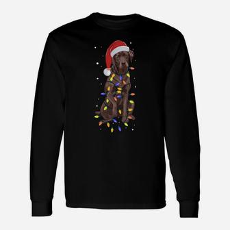 Chocolate Labrador Wear Santa Hat Christmas Fairy Lights Unisex Long Sleeve | Crazezy