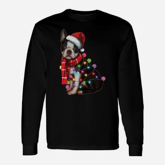 Christmas Dog, Boston Terrier, Xmas Gift, Dog Lover Present Sweatshirt Unisex Long Sleeve | Crazezy AU