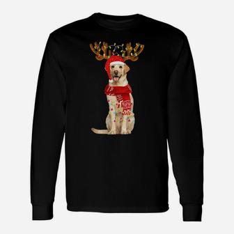 Christmas Lights Labrador Dog Lover Dog Dad Dog Mom Unisex Long Sleeve | Crazezy DE