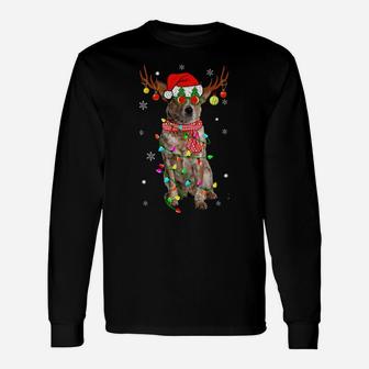 Christmas Pajama Australian Cattle Xmas Lights Dog Dad Mom Sweatshirt Unisex Long Sleeve | Crazezy DE