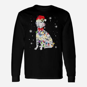 Dalmatian Dog Christmas Light Xmas Mom Dad Gifts Unisex Long Sleeve | Crazezy UK