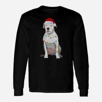 Dogo Argentino Christmas Lights Xmas Dog Lover Unisex Long Sleeve | Crazezy