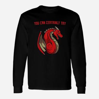 Dragon Fire You Can Certainly Try Dungeons Master Unisex Long Sleeve | Crazezy