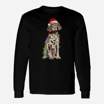 English Setter Christmas Lights Xmas Dog Lover Sweatshirt Unisex Long Sleeve | Crazezy