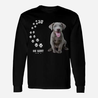 Fun Labrador Retriever Dog Mom Dad Costume, Cute Silver Lab Sweatshirt Unisex Long Sleeve | Crazezy DE