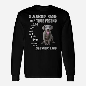 Fun Labrador Retriever Dog Mom Dad Costume, Cute Silver Lab Unisex Long Sleeve | Crazezy UK
