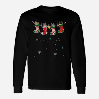 Funny Cats In Socks Christmas Cat Lovers Xmas Sweater Unisex Long Sleeve | Crazezy DE