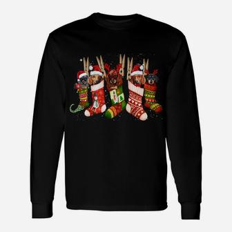 Funny Dachshund Dog In Christmas Sock Santa Hat Xmas Dog Sweatshirt Unisex Long Sleeve | Crazezy AU