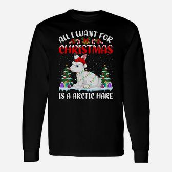 Funny Santa Hat All I Want For Christmas Is A Arctic Hare Unisex Long Sleeve | Crazezy UK