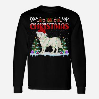 Funny Santa Hat All I Want For Christmas Is A Arctic-Wolf Unisex Long Sleeve | Crazezy AU