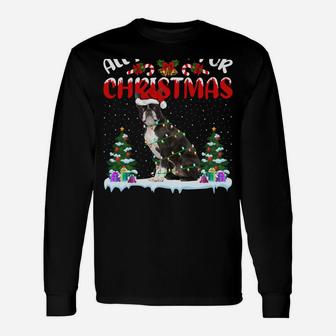Funny Santa Hat All I Want For Christmas Is A Boston Terrier Unisex Long Sleeve | Crazezy