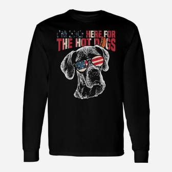 Great Dane 4Th Of July Pup Long Sleeve T-Shirt - Monsterry