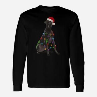 Great Dane Christmas Lights Xmas Dog Lover Santa Hat Unisex Long Sleeve | Crazezy