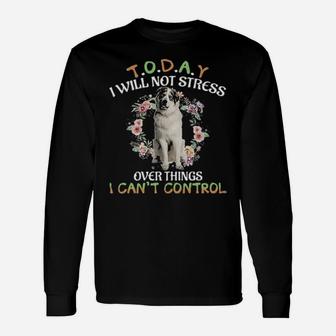 Great Pyrenees Today I Will Not Stress Over Things I Can't Control Long Sleeve T-Shirt - Monsterry AU