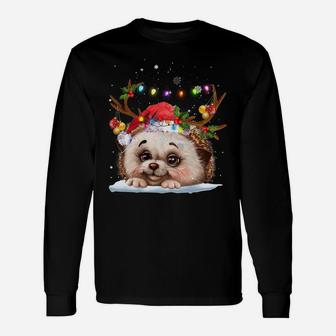 Hedgehogs Reindeer Xmas Lighsts Christmas Ornaments Xmas Sweatshirt Unisex Long Sleeve | Crazezy DE