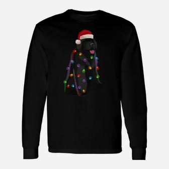 Newfoundland Christmas Lights Xmas Dog Lover Sweatshirt Unisex Long Sleeve | Crazezy