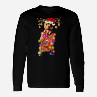 Pitbull Santa Xmas Lights Dog Long Sleeve T-Shirt - Monsterry DE