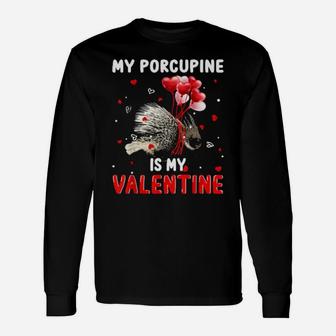 My Porcupine Is My Valentine Animals Lover Long Sleeve T-Shirt - Monsterry