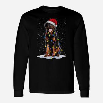 Rottweiler Santa Christmas Tree Lights Xmas Gifts Sweatshirt Unisex Long Sleeve | Crazezy