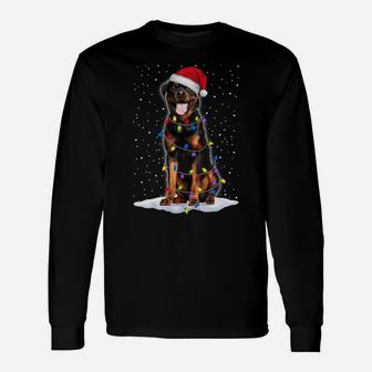 Rottweiler Santa Christmas Tree Lights Xmas Gifts Unisex Long Sleeve | Crazezy UK