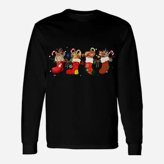 Squirrel In Socks Celebrates Xmas Funny Santa Hat Christmas Sweatshirt Unisex Long Sleeve | Crazezy DE