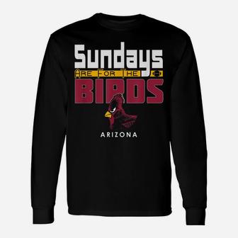 Sundays Are For The Birds Arizona Varsity Retro Football Unisex Long Sleeve | Crazezy CA