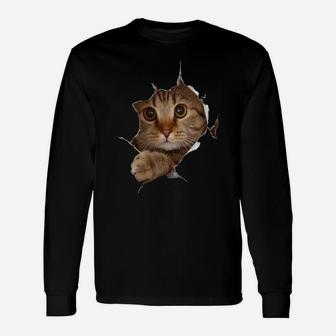 Sweet Kitten Torn Cloth - Funny Cat Lover Cat Owner Cat Lady Sweatshirt Unisex Long Sleeve | Crazezy AU