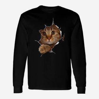 Sweet Kitten Torn Cloth - Funny Cat Lover Cat Owner Cat Lady Unisex Long Sleeve | Crazezy UK