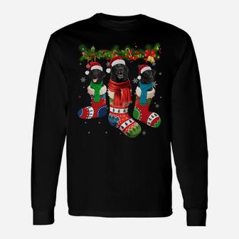 Three Black Labradors In Christmas Socks Sweatshirt Unisex Long Sleeve | Crazezy AU