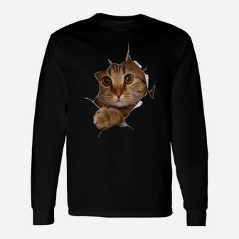Womens Sweet Kitten Torn Cloth - Funny Cat Lover Cat Owner Cat Lady Unisex Long Sleeve | Crazezy CA