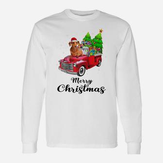 Dachshund Ride Red Truck Christmas Pajama Raglan Baseball Tee Unisex Long Sleeve | Crazezy