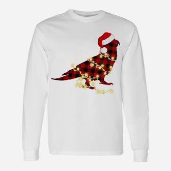 Funny Christmas Light Parrot Red Plaid Family Xmas Gifts Sweatshirt Unisex Long Sleeve | Crazezy UK