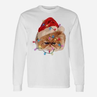 Funny Xmas Persian Cat Christmas Lights Adorable Face Fluffy Unisex Long Sleeve | Crazezy