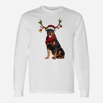 Santa Rottweiler Reindeer Light Christmas Gifts Sweatshirt Unisex Long Sleeve | Crazezy UK