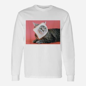 Silly Cat With Slice Of Bread On Face | Funny Cat Lovers Unisex Long Sleeve | Crazezy