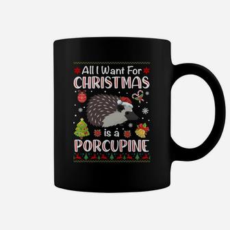 All I Want Is A Porcupine For Christmas Ugly Xmas Pajamas Sweatshirt Coffee Mug | Crazezy UK
