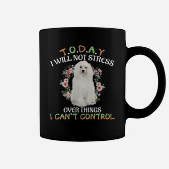 Chinese Crested Today I Will Not Stress Over Things I Can't Control Coffee Mug - Monsterry UK