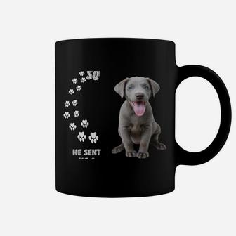 Fun Labrador Retriever Dog Mom Dad Costume, Cute Silver Lab Coffee Mug | Crazezy
