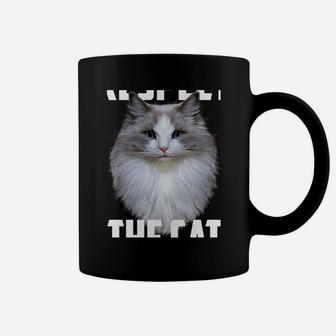 Respect The Cat Feline Lovers Kitten Adorable Kitty Novelty Coffee Mug | Crazezy